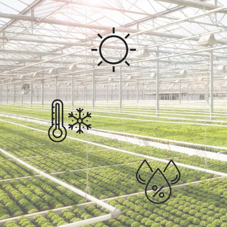 smart agricolture, serra connessa