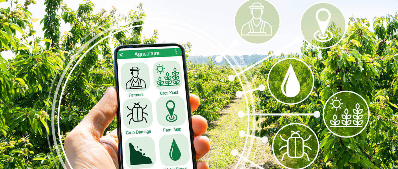 Smart Agriculture con l'IoT
