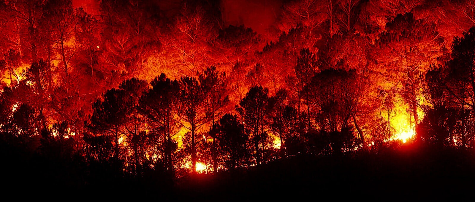 Gestione e prevenzione degli incendi con l'IoT