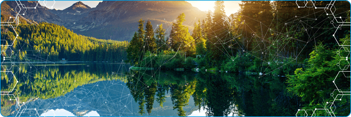 Soluzioni IoT per l'ambiente